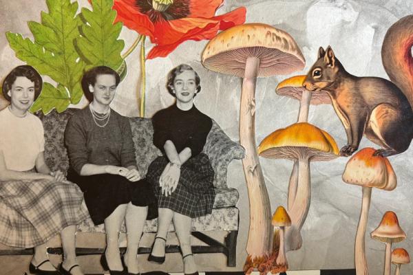 Collage Play Gathering Photo