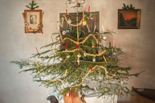 Photo by simon on Unsplash Photo