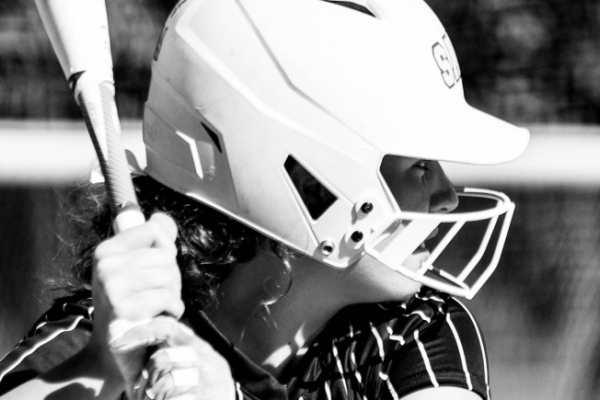 Salem Softball vs. Pfeiffer University Photo