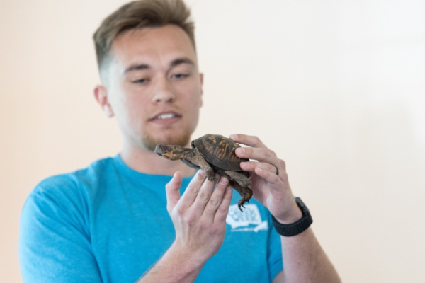 Forsyth Creek Week Critters Photo