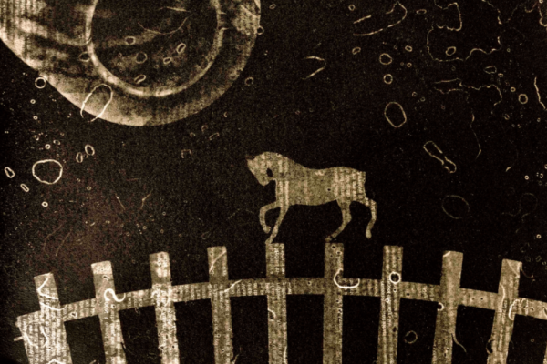 Jessica Tefft - "A Life's Work So Far" Exhibit Photo 2