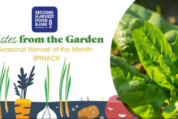 Tastes From The Garden Photo