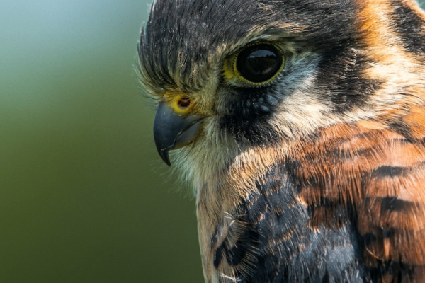 Photo by Jeremy Hynes on Unsplash Photo