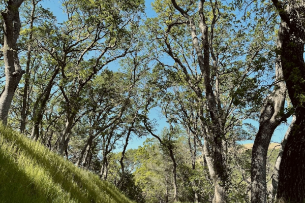 Photo by Aleena Janjua on Unsplash Photo