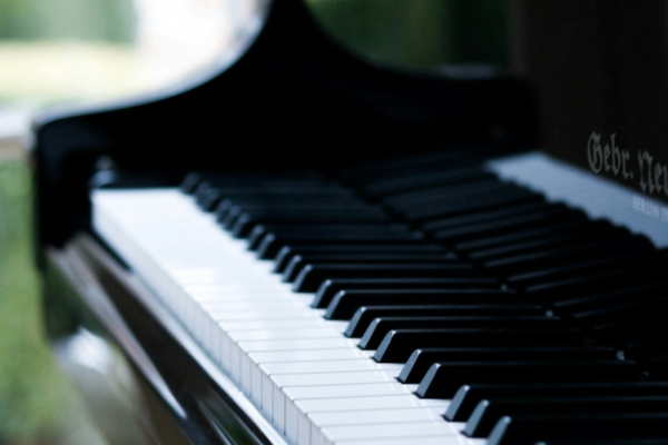 Photo by Felicia Buitenwerf on Unsplash Photo