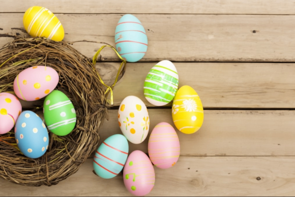 Photo by Aleyna Çatak on Unsplash Photo