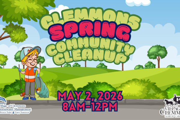 Village of Clemmons Photo