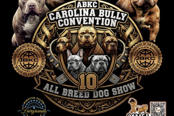 Abkc carolina bully convention 10 Photo