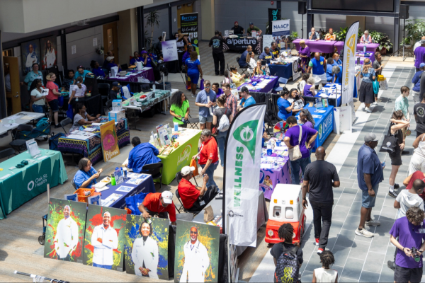 Juneteenth Festival Photo 3