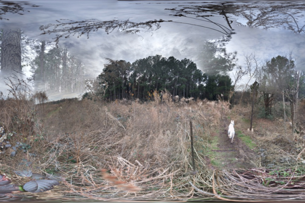 Artists Reception for Exhibit by Alix Hitchcock and Dave Urena Photo