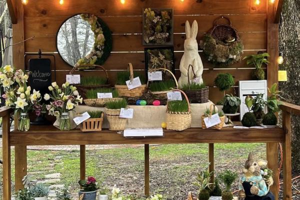 Mossy Hill Listening Room Photo