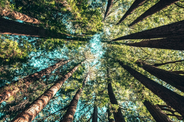 Photo by Casey Horner on Unsplash Photo