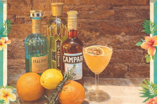 Cocktail Class Photo