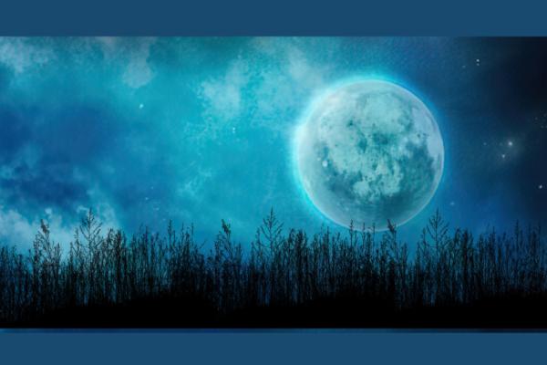 Moon Magick with Nikki Photo