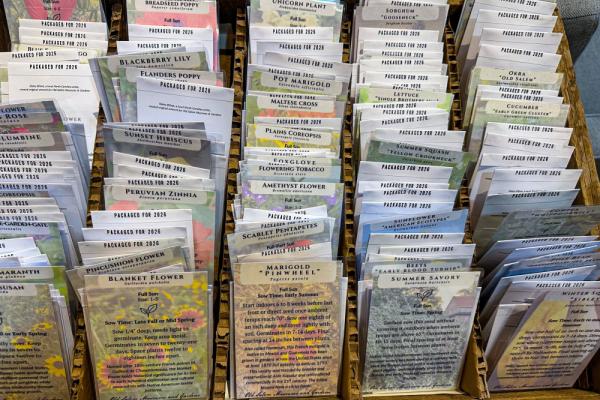 Seed Saving 101: Stewarding Old Salem's Historic Seed Collection Photo