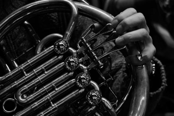 Hops & Horn Photo