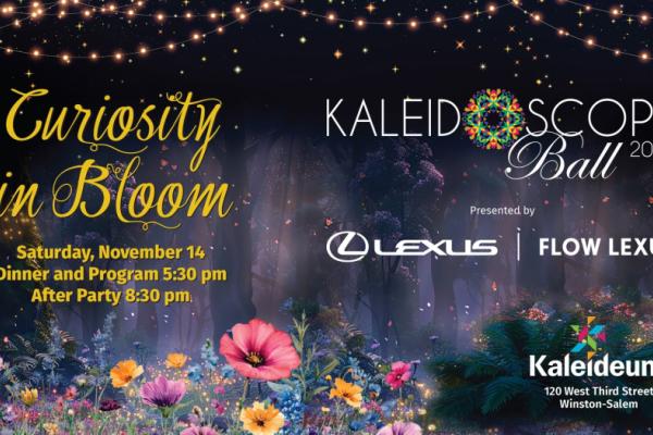 Kaleidoscope Ball: Curiosity in Bloom Photo