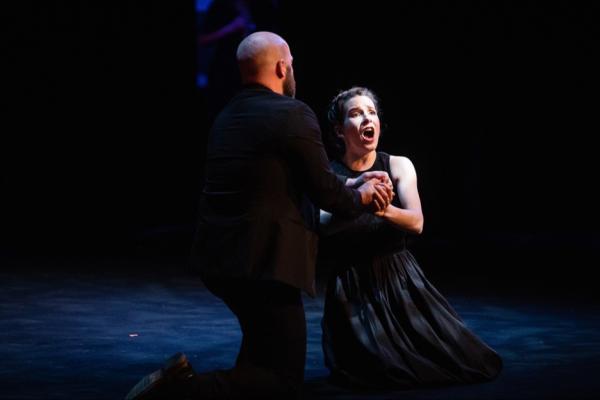 A.J. Fletcher Opera Scenes: An Evening at the Opera Photo