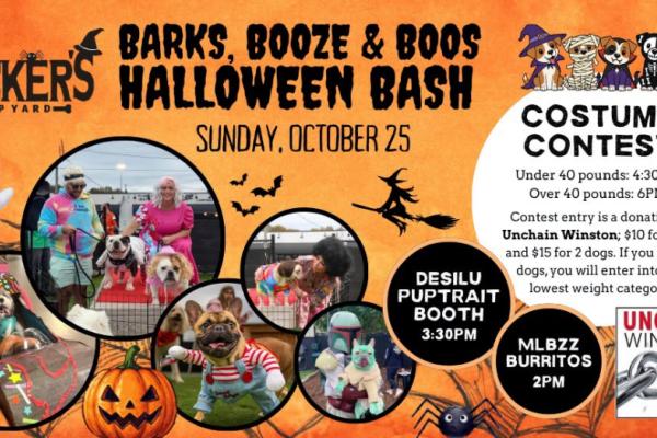 Barks, Booze & Boos Halloween Bash Photo