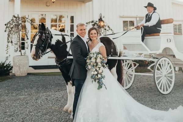 wedding carriage Photo