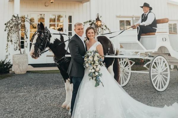 wedding carriage Photo