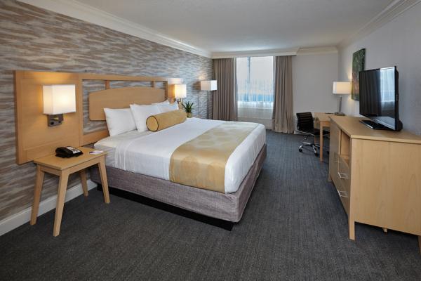 Standard King Guestroom Photo 6