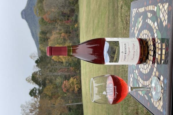 We have dry French red and white wines and some fun wine s like Cranberry Delight. White wine infused with natural cranberry Photo 12