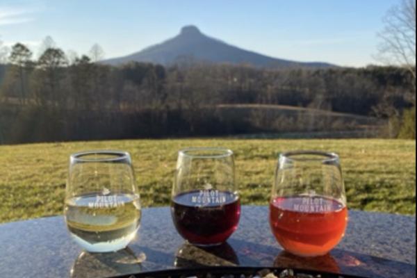 We have 7 propane fire pits so you can sit outside all year round and enjoy our delicious wine. Photo 10