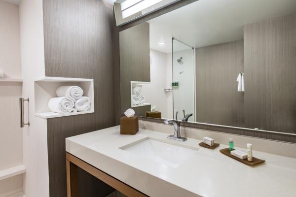 Our spacious bathroom includes a large shower and vanity, bright lighting and our intuitive “shower nook” to place your amenities and towels Photo 17