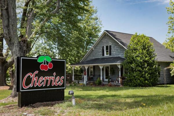 cherries Photo