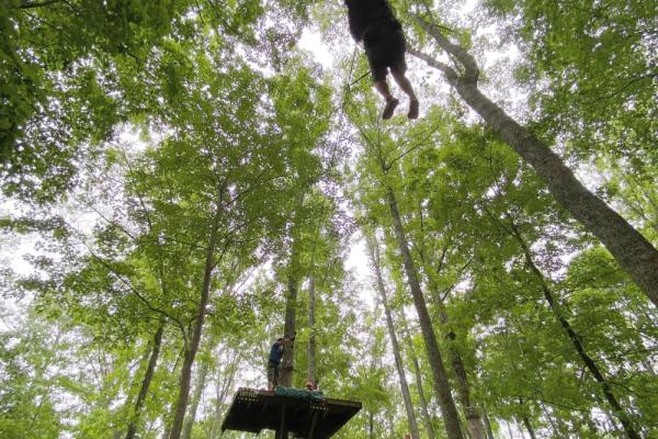 zipline canopy Photo 3