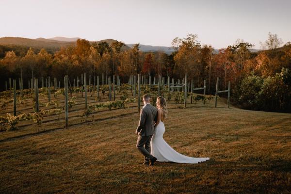 vineyard wedding Photo 7