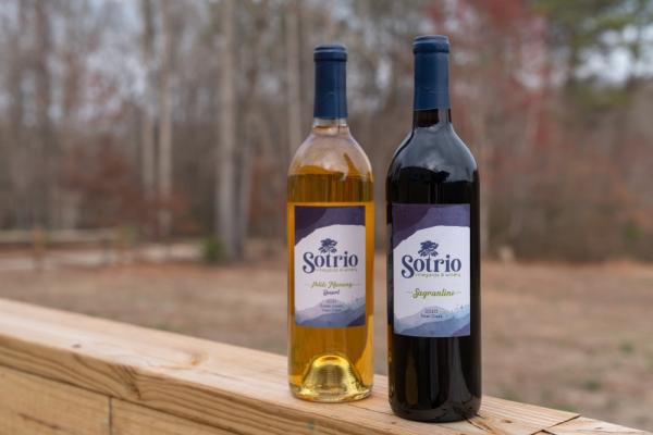 Sotrio1 Photo