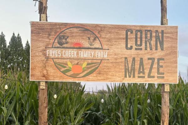 Fryes Creek Family Farm corn maze Photo 3