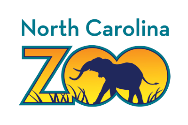 logo Photo 2