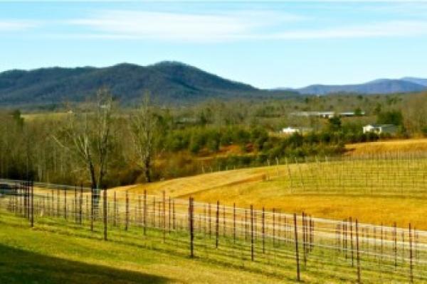 view_of_Montepulciano.jpg Photo 2