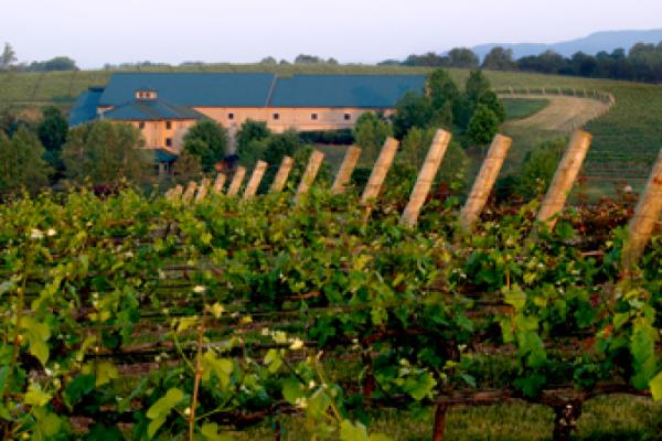 sheltonbuilding.jpg Photo 3