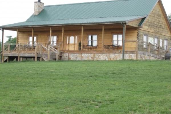 vineyard_pics_124.jpg Photo 3