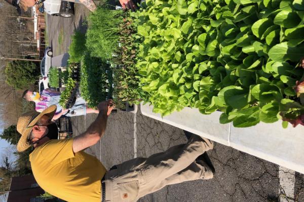 Cobblestone Farmers Market has increased the resources available onsite to Grow Your Own garden at home! Photo 5