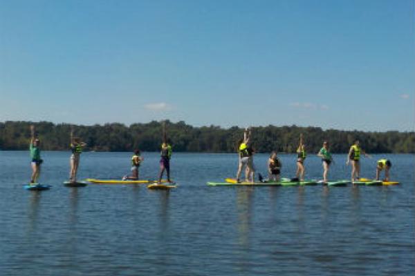 eco11.jpg Photo 2
