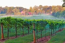 Yadkin Valley Photo