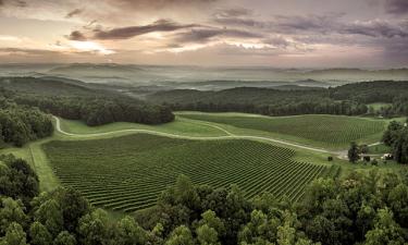 Dynamis Estate Winery