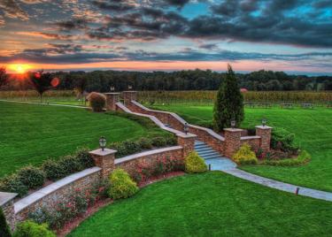 Childress Vineyards