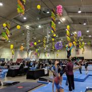 Gymnastics Gymnastics Photo 2