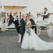 wedding carriage wedding carriage Photo