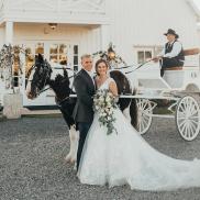 wedding carriage Photo