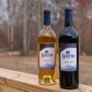 Sotrio1 Sotrio1 Photo