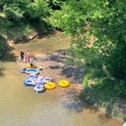 Dan river tuber Photo