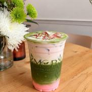Matcha1 Photo