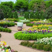 garden garden Photo